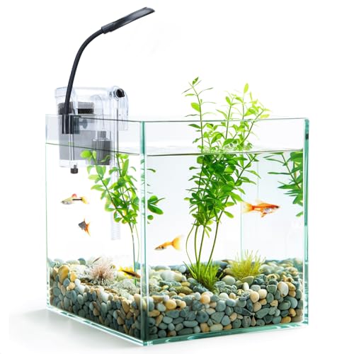 Nobleza - 27L Mini Aquarium Komplettset, Nano Aquarium Stabiles Einsteigerbecken mit LED-Beleuchtung und Eingebautem Filtersystem