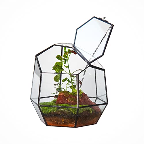 NCYP 19,1 cm Kleines Geometrisches Terrarium mit Tür, Schwarzer Unregelmäßiger Glas-Übertopf, Sukkulenten-Kakteen-Blumentopf, Heim-Garten-Dekoration, DIY-Geschenk (Ohne Pflanzen und Requisiten)