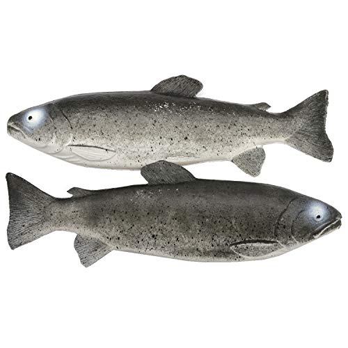 2 Deko-Forellen Attrappen aus Kunststoff Lebensmittelattrappe frischer Fisch Meeresfrüchte Fake