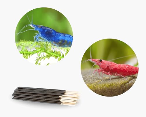 Neocaridina Garnelen Paket | Neocaridina Garnelen für Süßwasser Aquarium | 8 x Shrimp Lollies geschenkt | 7X Red Sakura & 7X Blue Dream Garnele