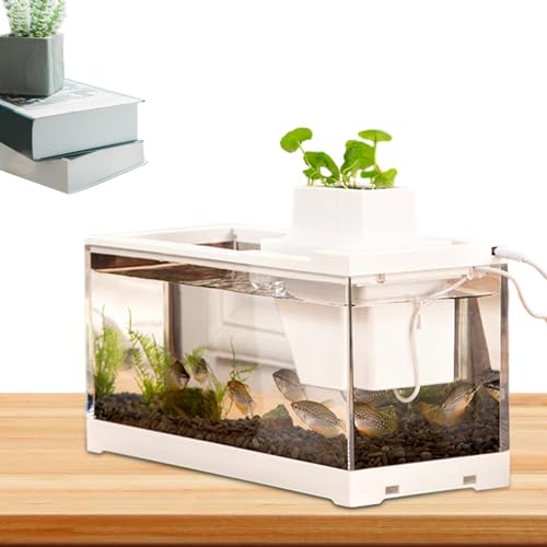 Visiblurry Desktop-Aquarium, kleines Aquarium,Transparentes, leises Schreibtischaquarium mit Wasserpumpe | Beleuchtetes -Aquarium, große Öffnung, auslaufsicher, für Schlafzimmer, Tische,