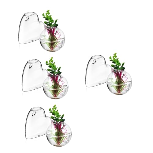 Ciieeo 4 Sätze Glasvase Pflanzen Terrarium Wandvase Für Blumen Hängende Vermehrungsstation Hängendes Terrarium Ausbreitung Wandbehang Glas Mit Hohem Borosilikatgehalt 2 Stück * 4