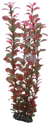 Hobby Ludwigia, 34 cm