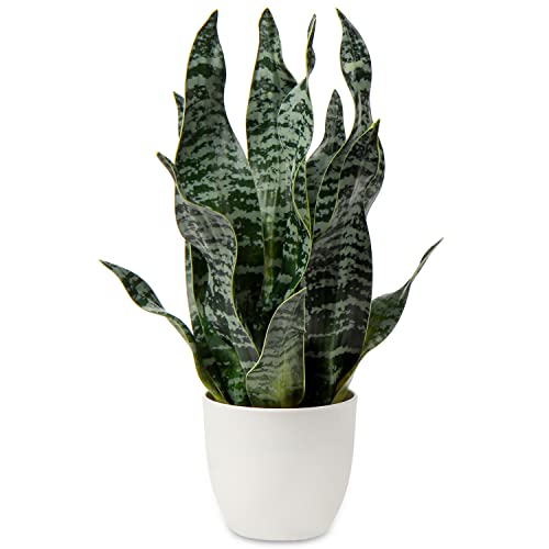 Kunstpflanze Sansevieria, Kunstpflanze Klein, Zimmerpflanze Künstlich, 42CM Künstliche Schlangenpflanze für Home Office Hotel Bookstore Cafe Moderne Dekoration, Grün