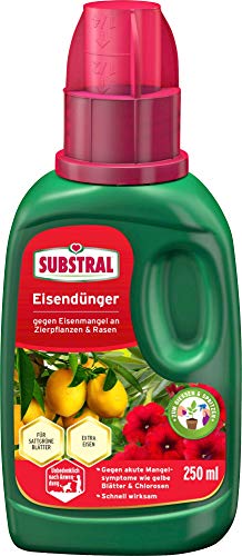 Substral Eisendünger, Flüssigdünger gegen Eisenmangel an Zierpflanzen und Rasen , für Gieß- und Spritzanwendung, 250 ml, grün