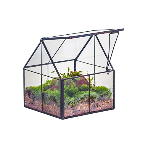 NCYP 10,8x10,8x12,5 cm Geometrisches Mini Pflanzenterrarium aus Glas mit Deckel, Schwarz Übertopf für kleine Sukkulenten Luftpflanzen, Handgefertigt Heimgarten Büro Tischdekoration (Nur Terrarium)