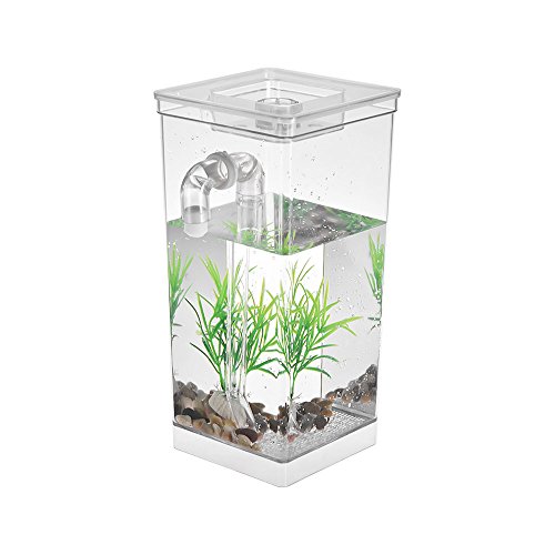 KKXXYQFC Aquarium Mini-Aquarium mit LED-Lampe, Licht, Fischbekämpfungszylinder, selbstreinigendes kleines Aquarium, Acryl-Schreibtisch-Aquarium-Box, Aquarium-Behälter