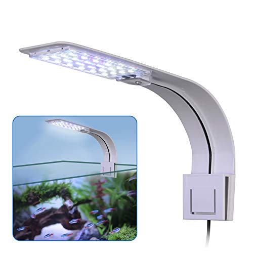 KWOKWEI LED Aquarium Licht, Clip-on Aquarium Lampe mit Weiß und Blau Licht, 10W LED Aquarienleuchte mit EU-Stecker, 24LEDs Fische Tank Beleuchtung Aufsetzleuchte für Aquarium, Zisternen