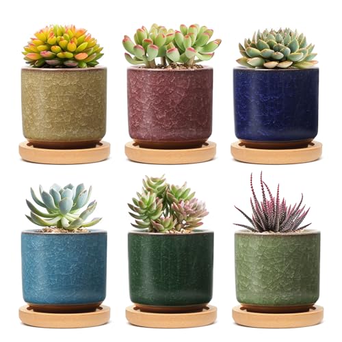 T4U 6.3cm Keramik Sukkulenten Töpfe Kaktus Pflanze Töpfe Mini Blumentöpfe Eis Crack Höher Serie 6 Farben Set mit Untersetzer