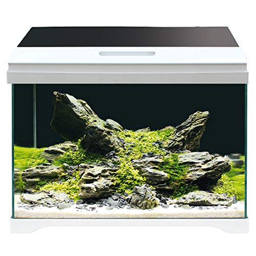 Croci Amtra MODERN Tank 50 LED - Aquarium komplett mit LED-Beleuchtung und Innenfilter/cm 50,5x25,5x40 / 40 Liter