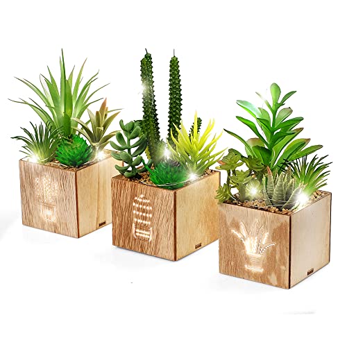 BEGONDIS Set von 3 künstlichen Sukkulenten mit Led-Leuchten in Holzkiste, künstliche Pflanzen Plastik -Topiary für Wohn-/Bürodekorationen, Tischdekoration, Valentinstag.