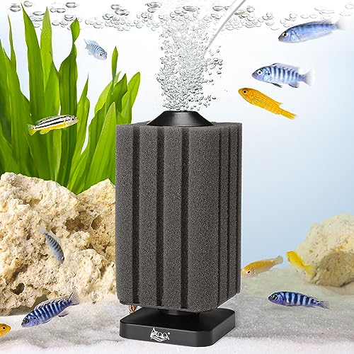 AQQA Aquarium Schwammfilter, 2024 Upgrade Aquarium Filter für Biologische und Mechanische Filterung, Tauchschaum Schwammfilter mit 1 Ersatzschwamm (S für 20-120L)