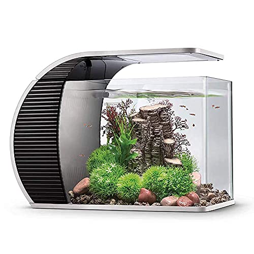 hygger LED Glasaquarium-Set 19 Liter, Panoramaaquarium geschwungene Frontscheibe mit verborgenem Filter, LED-Beleuchtung (3 Farbmodi zur Auswahl)