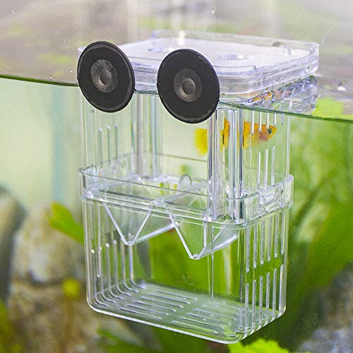 SENZEAL Kunststoff Fisch Isolation Box multifunktionale Zuchttanks Brutkasten Inkubator Box mit 3 Stücke Pasteur Pipette (105x75x135mm)