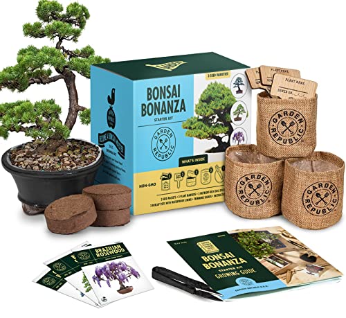 Bonsai Baum Kit - Grow 3 Mini Bonsai Bäume Indoor Plant Growing Kit - Bonsai Starter Kit mit Bonsai Samen, Erde, Pflanzgefäßen & Schere, Gartengeschenke für Frauen, Vatertag Gartenarbeit Geschenke