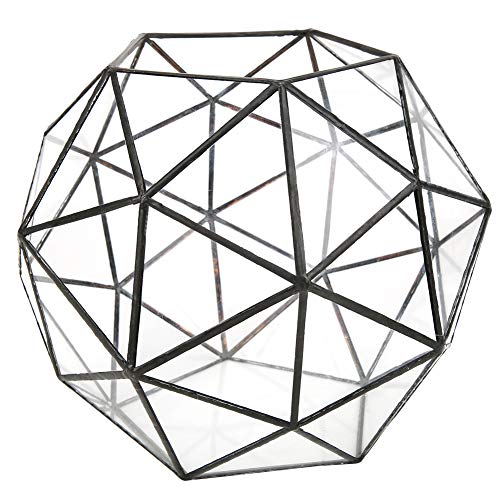 Kuuleyn 9,1 Zoll geometrischer Pflanzgefäß aus Glas, transparente geometrische Blumentopfbox, Sukkulenten, Vasen, Würfel, Behälter, Heim- und Landschaftsdekoration