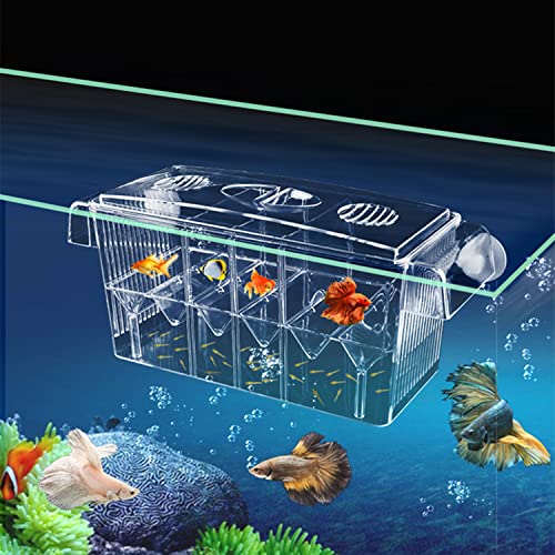 Fischzuchtkasten Ablaichkasten Aquarium, Acryl-Fisch-Isolationsbox mit Saugnäpfen Aquarium-Acclimation Hatchery Inkubator für Babyfische Garnelen Clownfische, Ablaichstation Aufzuchtbehälter Aquarium