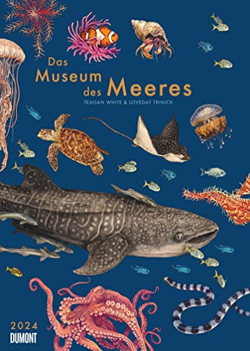 DUMONT Das Museum des Meeres Posterkalender 2024, im Format 50 x 70 cm, Monatskalender, Wandkalender mit Informativen Texten rund um das Thema Meereswesen