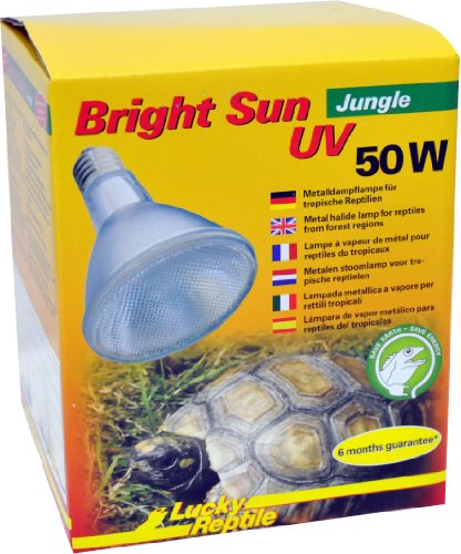 Lucky Reptile Bright Sun UV Jungle - 50 W Metalldampflampe für E27 Fassungen - Terrarium Lampe mit Tageslichtspektrum - Wärmelampe mit UVA & UVB Strahlung - UV Lampe für tropische Reptilien, 1 Stück (1er Pack)