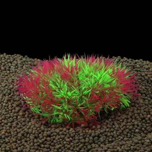 KJJMN 1 Stück Aquariumpflanzen aus Kunststoff, 3 Farben, künstliche Wunderpflanzen, Zubehör für Aquarien, Ornament, Dekor, Weinrot, M