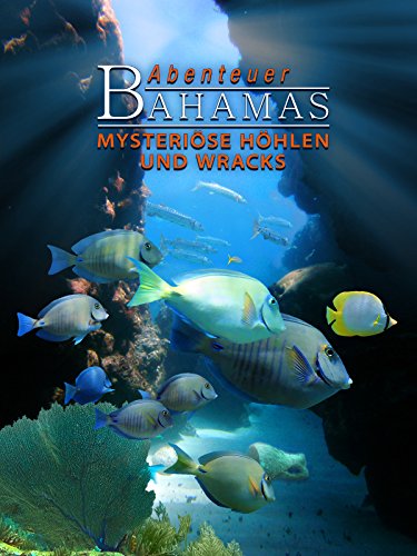 Abenteuer Bahamas - Mysteriöse Höhlen und Wracks