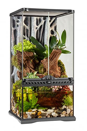 Exo Terra Terrarium aus Glas, mit einzigartiger Front Belüftung, 30 x 30 x 60cm, auch als Paludarium nutzbar