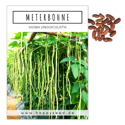Meterbohne Samen (Vigna unguiculata, 20 Korn) - Spargelbohnen Saatgut ideal für die Anzucht im Garten, Balkon oder Terrasse