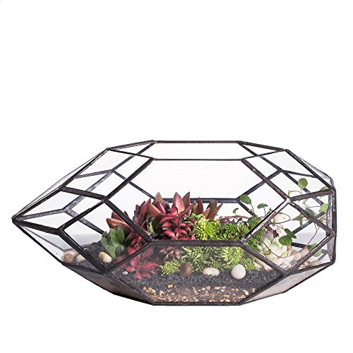 NCYP Handgefertigtes, großes, unregelmäßiges, vielflächiges, geometrisches Glas-Terrarium für sukkulente Pflanzen - Blumentopf/Übertopf für Fensterbank, Balkon, Tischplatte - 28 cm (ohne Pflanzen)