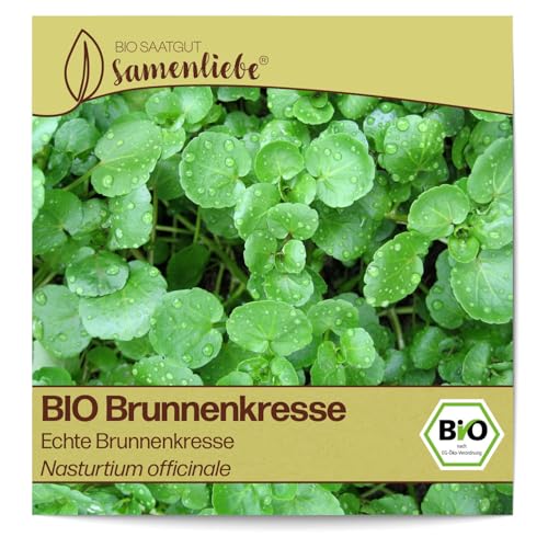 Samenliebe BIO Brunnenkresse Samen alte Sorte Echte Brunnenkresse Wasserkresse Wildkräuter grün 1500 Samen samenfestes Kräuter Saatgut für Küche indoor und Balkon Garten BIO Kräutersamen winterhart