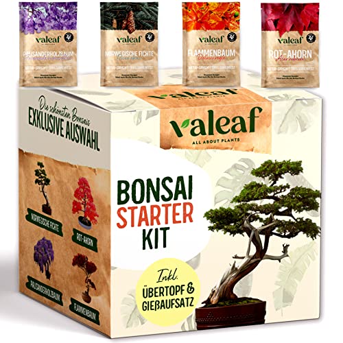 valeaf Bonsai Starter Kit I Bonsai Anzuchtset Geschenk für deinen Bonsai Baum I Zimmerpflanzen Anzuchtset inkl. 4 Sorten Bonsai Samen, Zubehör u. Bonsai-Schale I Saat Geschenk zum Baum pflanzen