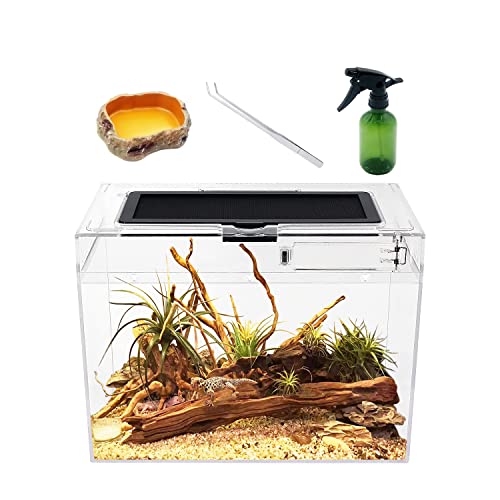 Reptile Growth Mini Terrarium Komplettset, 12' x 7'x 9' Faunarium für,Schnecken,Insekten,Wasserschildkröten，Vogelspinnen,Springspinne,Leopard Gecko,Bärtiger Drache ，Frosch,Aquarium,Einsiedlerkrebs