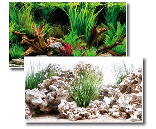 Amtra Deko Fotorückwand Wonder beidseitig Bedruckt 120x60cm 2in1 Rückwandposter Rückwand Folie Aquarien Poster Foto Folien