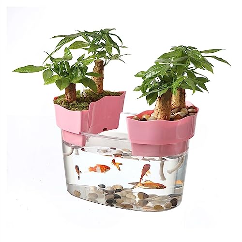 Aquarium Aquarium Acryl Transparent Aquarium Tank Schildkröte Tank Kleiner ökologischer Tank for Aquarien Bonsai Desktop Ornamente Aquarium-Kit(Klein)