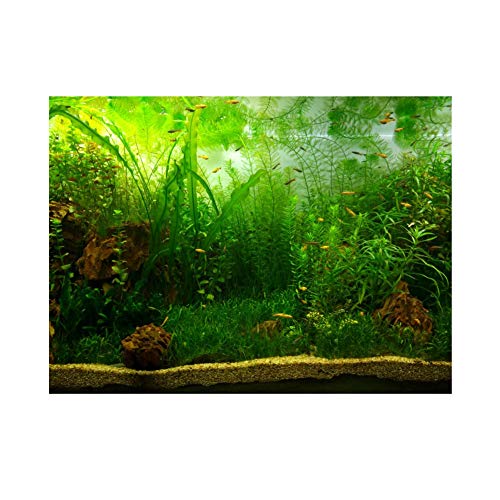 Grüner Aquarium-Hintergrund, Poster für Aquarien, PVC, selbstklebendes Dekorpapier, grünes Wassergras, aquatischer Stil wie echt (76 x 30 cm)