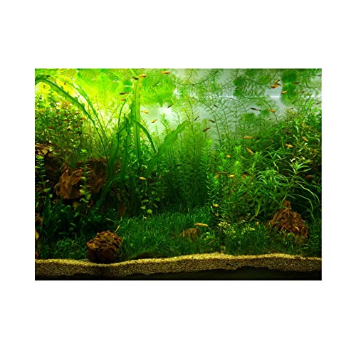 Hintergrund für Aquarium, PVC, Selbstklebend, grünes Wassergras, 122 * 50cm