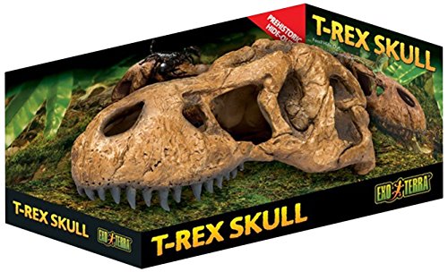 Exo Terra T-Rex-Schädel, sicheres Versteck für Reptilien und Amphibien, groß, 1 Stück (1er Pack)