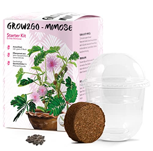 GROW2GO Mimose Starter Kit Anzuchtset - Pflanzset aus Mini-Gewächshaus, Mimose Samen & Erde - nachhaltige Geschenkidee für Pflanzenfreunde