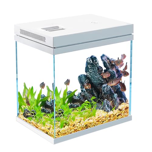 10L Fischtank Nano Glas Wassermann Set mit Licht und Filter System, Aquarium, wasserdichte und spülmittelfreie Ausführung (10L)