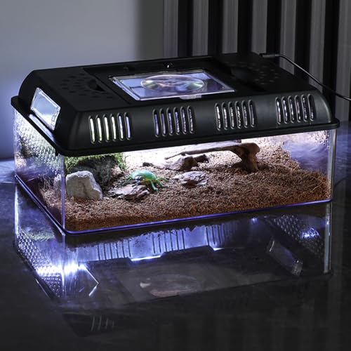 Crevyteg Reptilienbecken Terrarium, Reptile Growth PC Terrarium Komplettset, Schildkröten Gehege für Schnecken Insekten Vogelspinnen Springspinne Leopard Gecko, 31.5 x 22 x 12.5cm