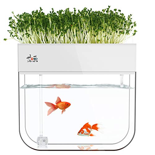 Hydrokultur-Garten-Aquaponische Aquarium-Pflanzen-Wachstumssystem, selbstreinigende Samen-Keimschale