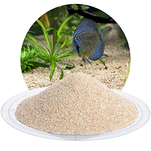 Schicker Mineral – 25 kg Aquariumsand Beige – feiner Aquariumkies gewaschen & ungefärbt – kantengerundeter Bodengrund Kies für Süßwasseraquarien & Meerwasseraquarien (Ø Körnung: 0,5-1,0 mm)