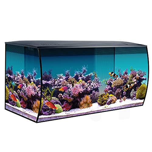 Fluval Flex Marine Aquarium 123L, Meerwasser Aquarium, schwarz, 1 Stück