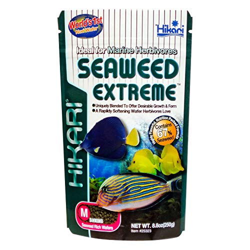 Hikari Fish & Aquatic Supplies Seegras Extreme 90 g