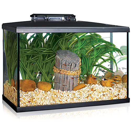 Marina LED-Aquarium-Set, 5 Gallon