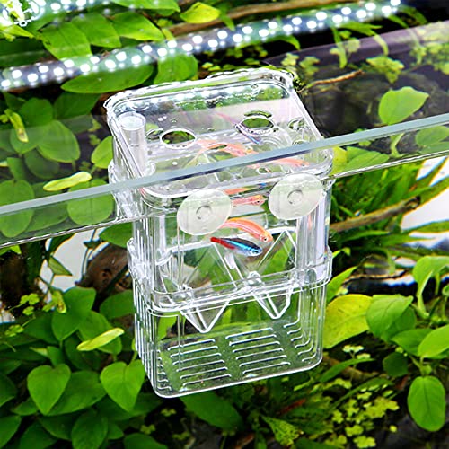 Aufzuchtbecken Aquarium Double Layer Zuchtbecken Fische Ablaichkasten Aufzuchtbehälter Aufzuchttank Brutkasten Zuchttanks Kunststoff Fisch Züchter Box mit Saugnapf