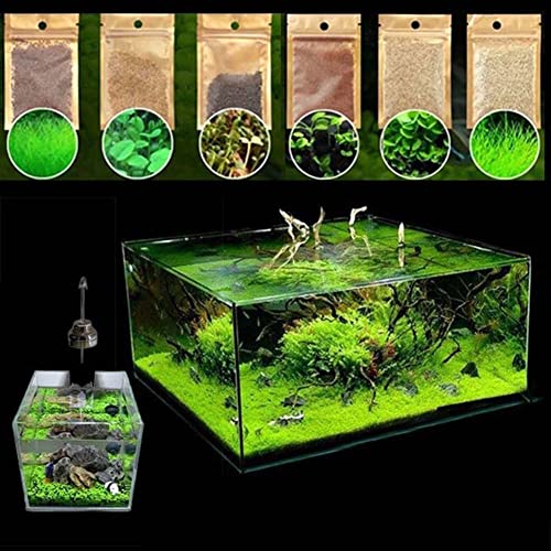 Saterkali Wassergrassamen, 600 Stück Aquatics Wassergras Pflanzensamen Aquarium Aquarium Landschaft Dekoration Samen von Wassergras