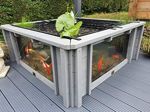 Clear View Garden Aquarium Lotus Gartenteich, quadratisch mit Fenstern