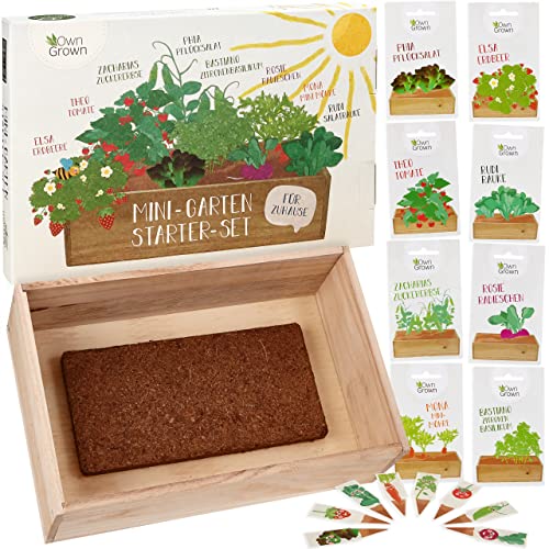 Saatgut Anzuchtset mit Holzkiste und 8 Sorten Pflanzen Samen: Kinder Anzuchtset Pflanzen mit Gemüse Samen, Erdbeeren Samen und Kräuter Samen – Mini Gewächshaus und Mini Garten Starter Kit von OwnGrown