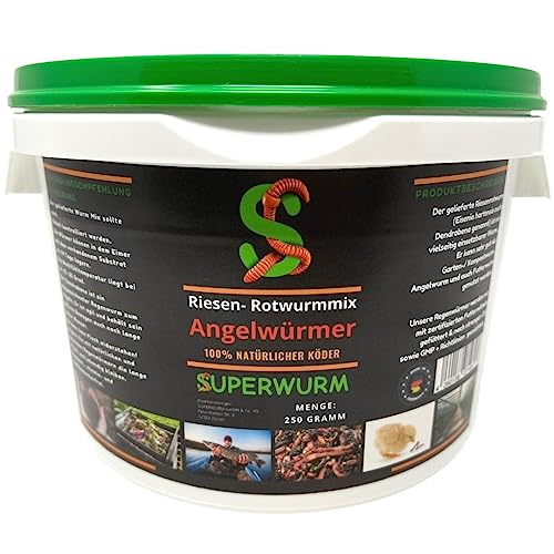 Angelwurm-Mix 250g (ca.300 St.) - Der Riesen-Rotwurmmix mit lebenden Angelwürmern I Angelwürmer für ein erfolgreiches Angelerlebnis mit hoch aktiven Lebendköder, Laubwurm, Dendrobena, Rotwurm