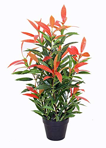 yanka-style PHOTINIA Kunstpflanze mit Topf ca. 80cm hoch Kunstbaum Kunstbaum Kunstbaum Deko Geschenk JWS2641